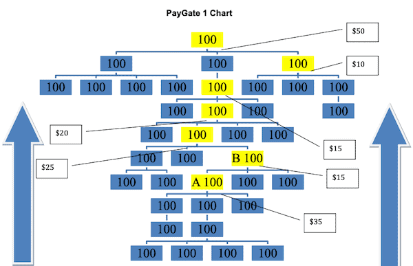 Is Kyani a pyramid scheme?