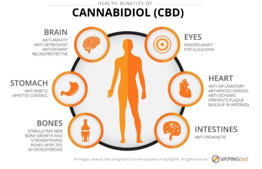 hempSMART Review: Health Benefits hempSMART Review: Health Benefits