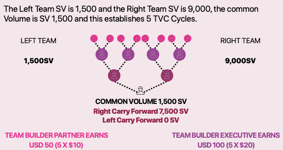 is Vyvo a scam- compensation plan-min is Vyvo a scam- compensation plan-min