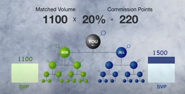 Usana MLM Review: Compensation Usana MLM Review: Compensation