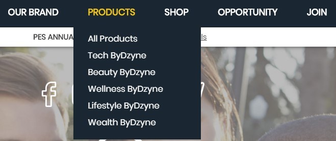 Is ByDzyne a Scam: Categories Is ByDzyne a Scam: Categories
