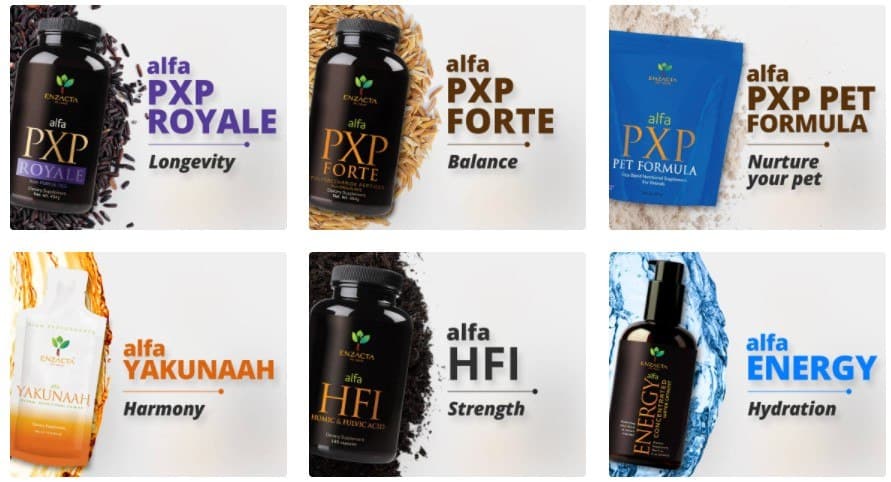 Enzacta Review: Products Enzacta Review: Products