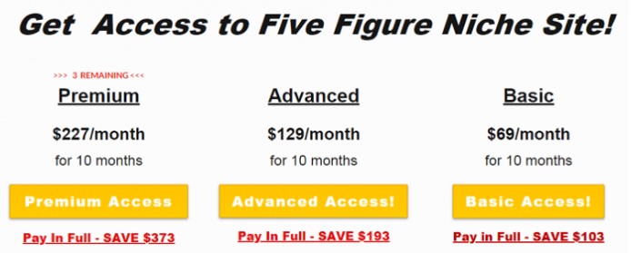 Five Figure Niche Site Review: Costs Five Figure Niche Site Review: Costs