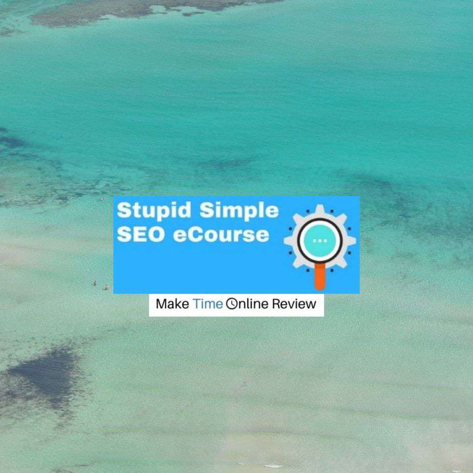 Stupid Simple SEO Review: The Best Way to Grow Your Blogs SEO?