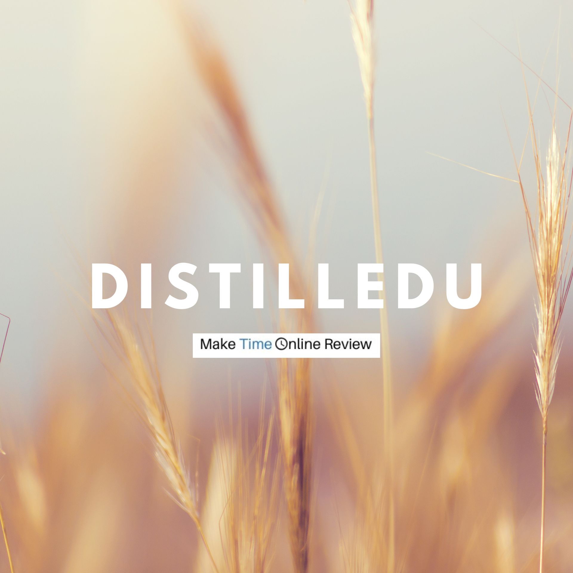 DistilledU Review: Can This SEO Course Help Generate Passive Online Income